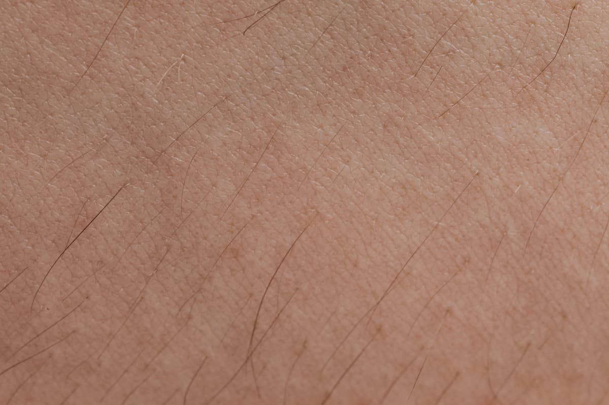 Épilation Jambes Complètes